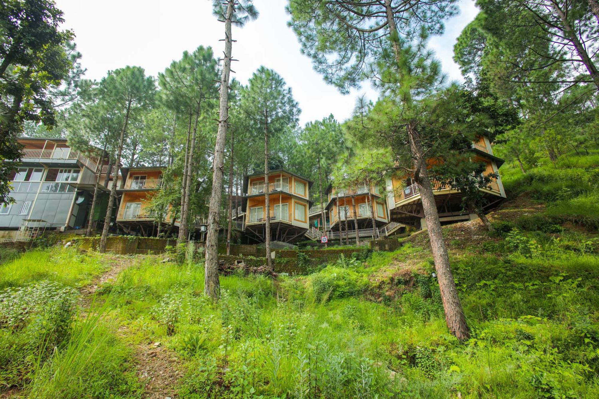 Hotel The Woods Retreat Lansdowne Exteriér fotografie